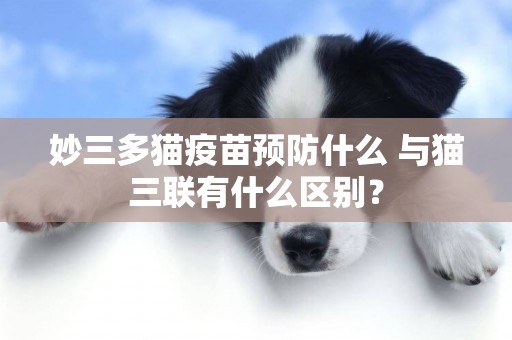 妙三多貓疫苗預防什么 與貓三聯有什么區別？