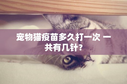 寵物貓疫苗多久打一次 一共有幾針？