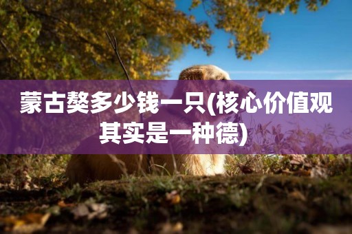 蒙古獒多少錢一只(核心價值觀其實是一種德) 