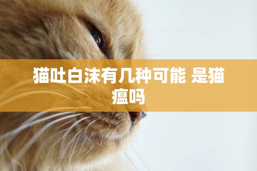 貓吐白沫有幾種可能 是貓瘟嗎
