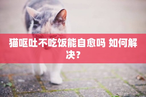 貓嘔吐不吃飯能自愈嗎 如何解決？