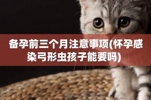 備孕前三個月注意事項(懷孕感染弓形蟲孩子能要嗎) 