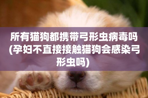 所有貓狗都攜帶弓形蟲病毒嗎(孕婦不直接接觸貓狗會感染弓形蟲嗎) 