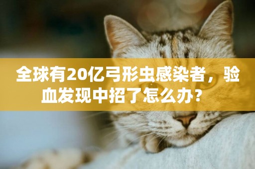 全球有20億弓形蟲感染者，驗血發現中招了怎么辦？ 