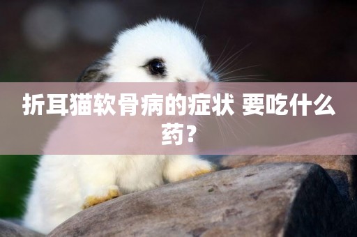 折耳貓軟骨病的癥狀 要吃什么藥? 折耳貓軟骨病的癥狀 要吃什么藥?