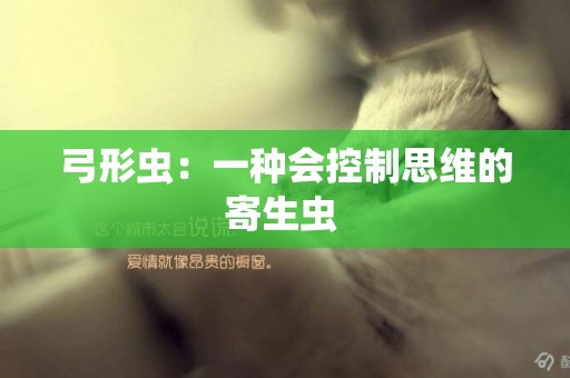 弓形蟲：一種會控制思維的寄生蟲 