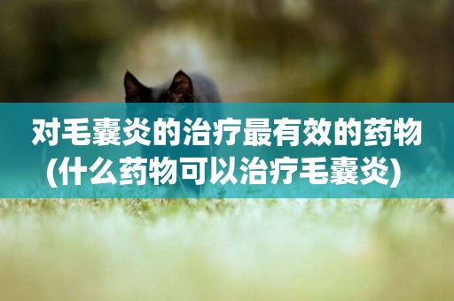 對毛囊炎的治療最有效的藥物(什么藥物可以治療毛囊炎) 