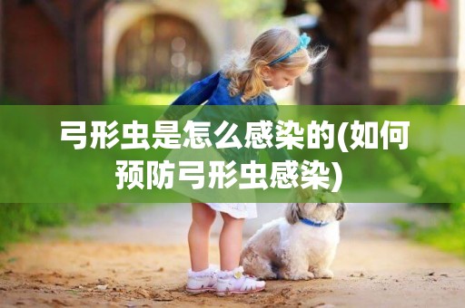 弓形蟲是怎么感染的(如何預防弓形蟲感染) 