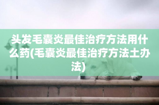 頭發毛囊炎最佳治療方法用什么藥(毛囊炎最佳治療方法土辦法) 