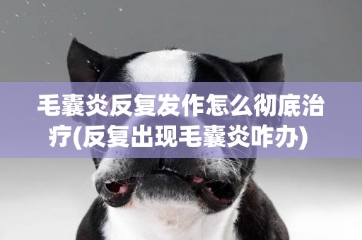 毛囊炎反復發作怎么徹底治療(反復出現毛囊炎咋辦) 
