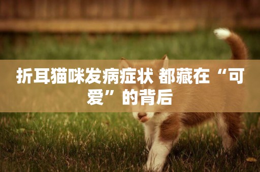 折耳貓咪發病癥狀 都藏在“可愛”的背后