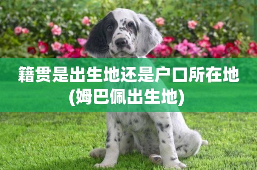 籍貫是出生地還是戶口所在地(姆巴佩出生地) 