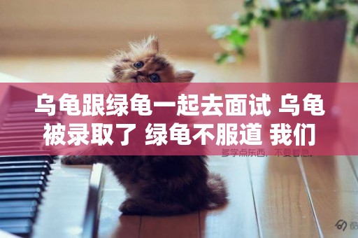 烏龜跟綠龜一起去面試 烏龜被錄取了 綠龜不服道 我們都一樣啊 