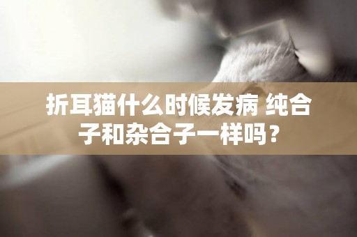 折耳貓什么時候發病 純合子和雜合子一樣嗎? 折耳貓什么時候發病 純合子和雜合子一樣嗎?