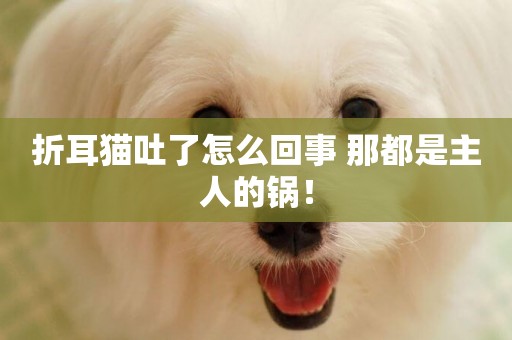 折耳貓吐了怎么回事 那都是主人的鍋！