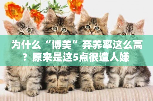 為什么“博美”棄養率這么高？原來是這5點很遭人嫌 