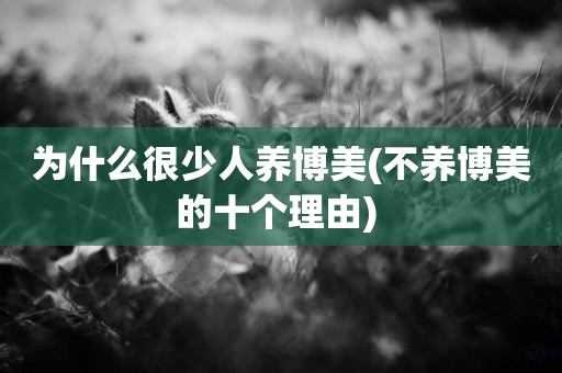 為什么很少人養博美(不養博美的十個理由) 