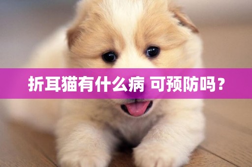 折耳貓有什么病 可預防嗎？