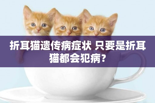 折耳貓遺傳病癥狀 只要是折耳貓都會犯病？