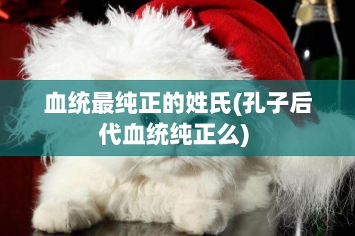 血統最純正的姓氏(孔子后代血統純正么) 