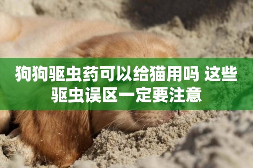 狗狗驅蟲藥可以給貓用嗎 這些驅蟲誤區一定要注意