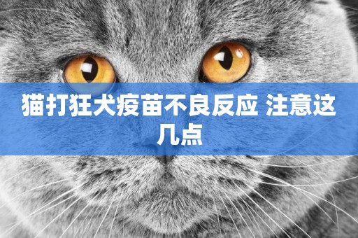 貓打狂犬疫苗不良反應 注意這幾點