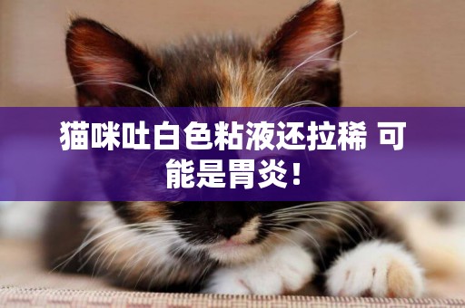 貓咪吐白色粘液還拉稀 可能是胃炎! 貓咪吐白色粘液還拉稀 可能是胃炎!