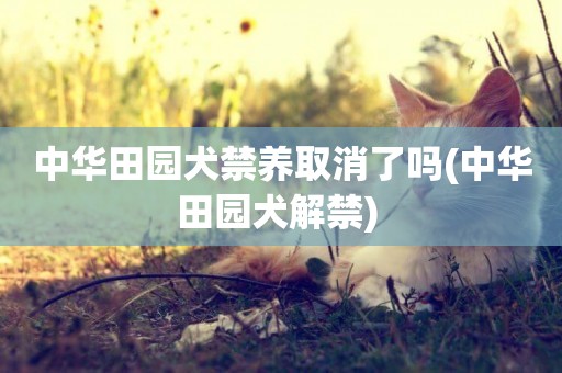 中華田園犬禁養取消了嗎(中華田園犬解禁) 
