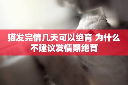 貓發完情幾天可以絕育 為什么不建議發情期絕育