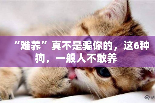 “難養”真不是騙你的，這6種狗，一般人不敢養 