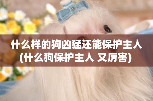 什么樣的狗兇猛還能保護主人(什么狗保護主人 又厲害) 