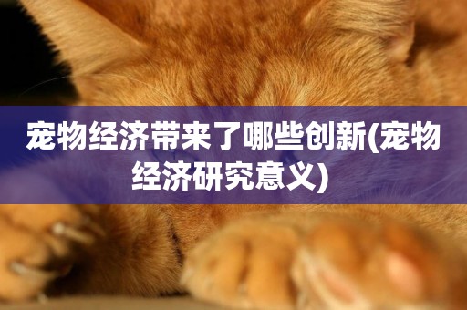 寵物經濟帶來了哪些創新(寵物經濟研究意義) 