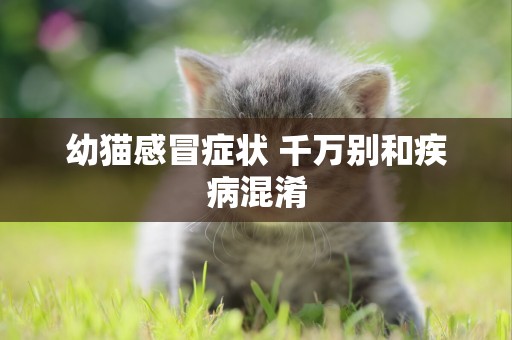 幼貓感冒癥狀 千萬別和疾病混淆