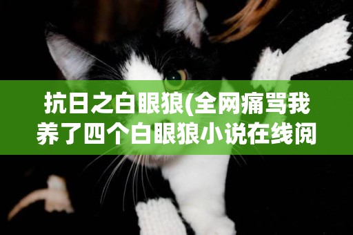 抗日之白眼狼(全網痛罵我養了四個白眼狼小說在線閱讀) 