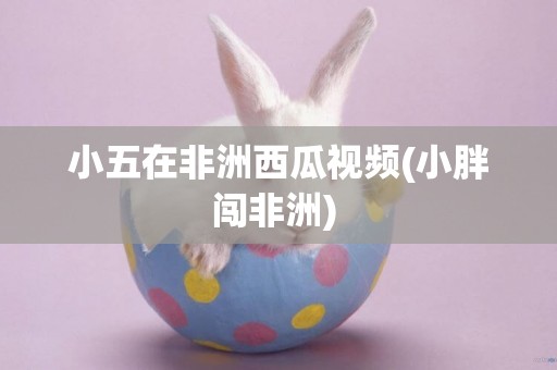 小五在非洲西瓜視頻(小胖闖非洲) 