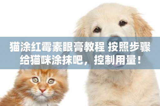 貓涂紅霉素眼膏教程 按照步驟給貓咪涂抹吧，控制用量！