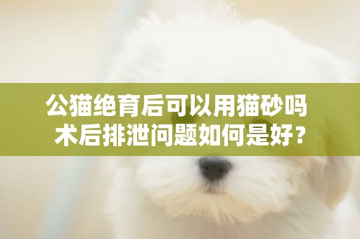 公貓絕育后可以用貓砂嗎 術后排泄問題如何是好？