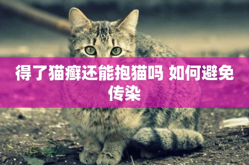 得了貓癬還能抱貓嗎 如何避免傳染 得了貓癬還能抱貓嗎 如何避免傳染