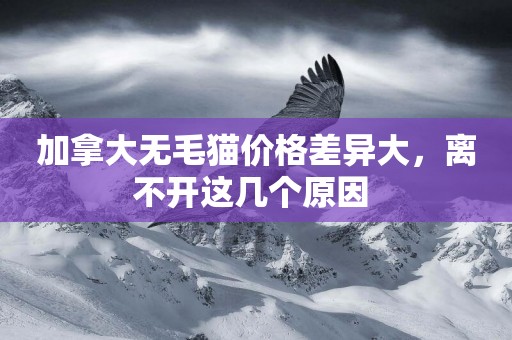 加拿大無毛貓價格差異大，離不開這幾個原因 