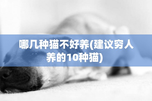 哪幾種貓不好養(建議窮人養的10種貓) 