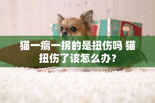 貓一瘸一拐的是扭傷嗎 貓扭傷了該怎么辦？