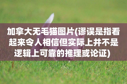 加拿大無毛貓圖片(謬誤是指看起來令人相信但實際上并不是邏輯上可靠的推理或論證) 