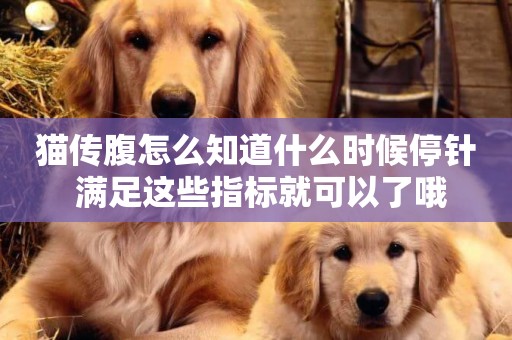 貓傳腹怎么知道什么時候停針 滿足這些指標就可以了哦