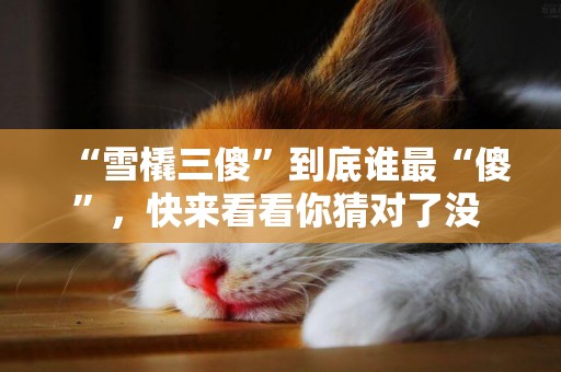 “雪橇三傻”到底誰最“傻”，快來看看你猜對了沒 