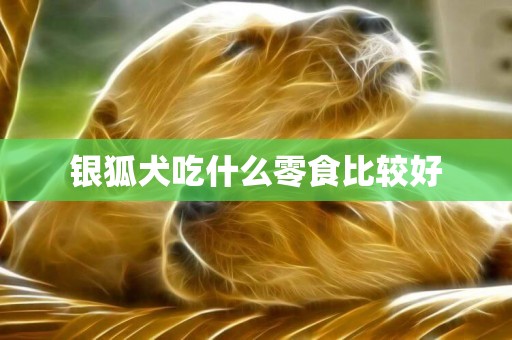銀狐犬吃什么零食比較好