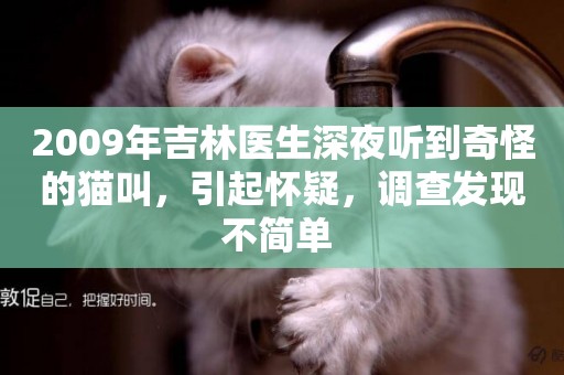 2009年吉林醫生深夜聽到奇怪的貓叫，引起懷疑，調查發現不簡單 