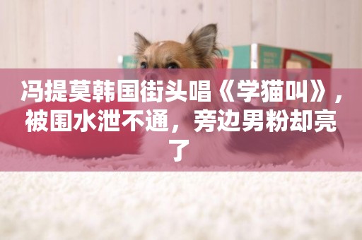 馮提莫韓國街頭唱《學貓叫》，被圍水泄不通，旁邊男粉卻亮了 