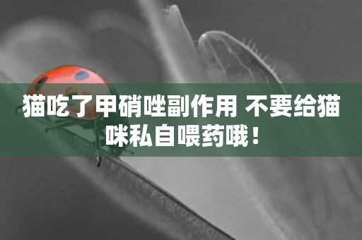 貓吃了甲硝唑副作用 不要給貓咪私自喂藥哦！
