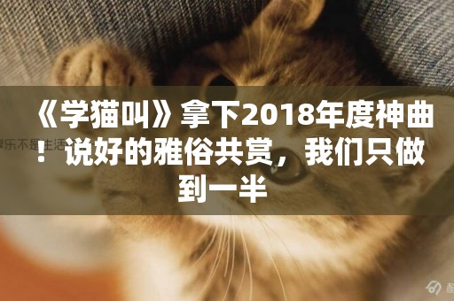 《學貓叫》拿下2018年度神曲！說好的雅俗共賞，我們只做到一半 