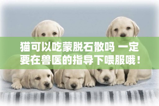 貓可以吃蒙脫石散嗎 一定要在獸醫的指導下喂服哦！